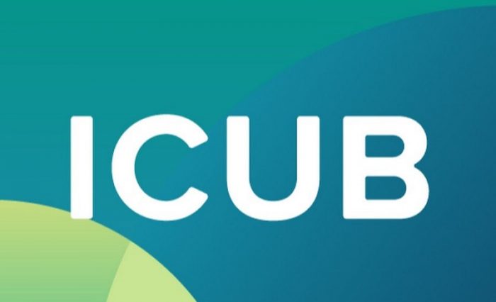 bursele-icub bursele-icub
