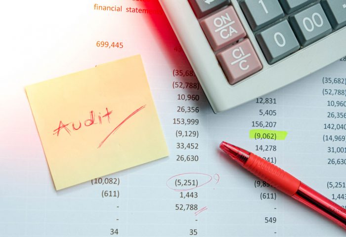 Imagine reprezentativa pentru Serviciul Audit