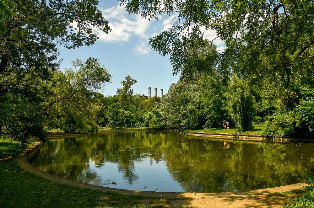 gradina botanica universitatea din bucuresti gradina botanica unibuc ub 7