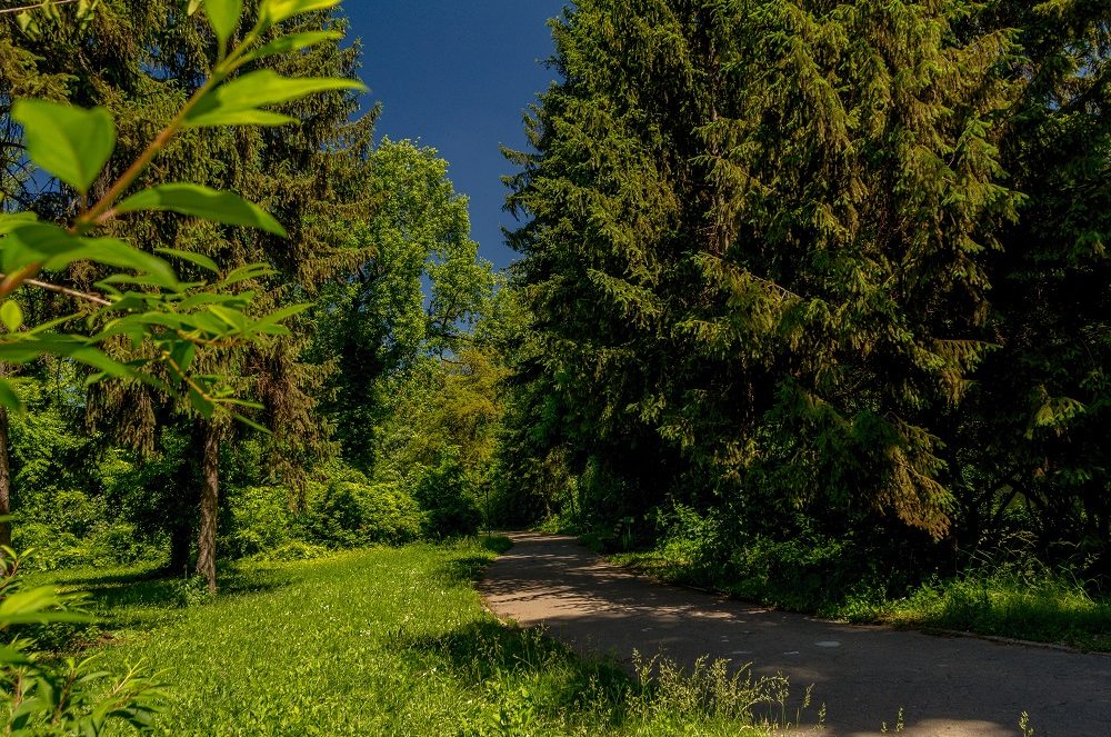 gradina botanica universitatea din bucuresti gradina botanica unibuc ub 8