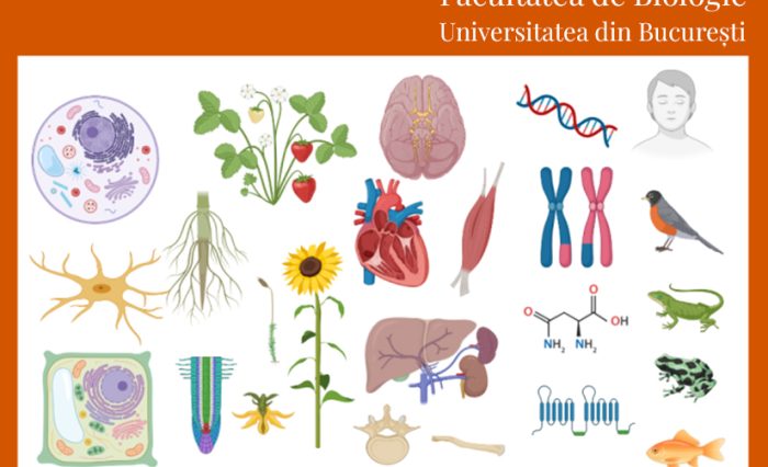 biologie scoala de vara