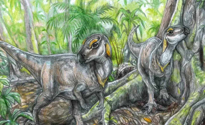 fosile Rhabdodontide geoparcul unesco tara hategului