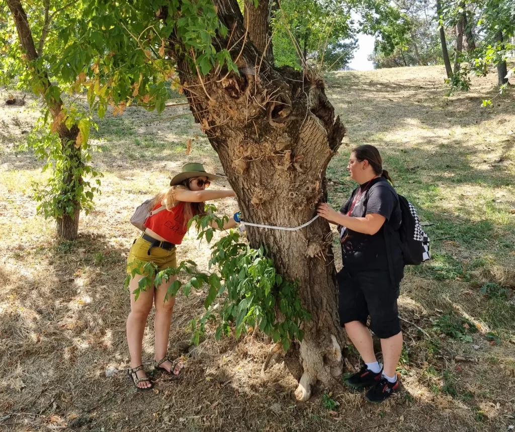 scoala de vara ccmesi stire 3